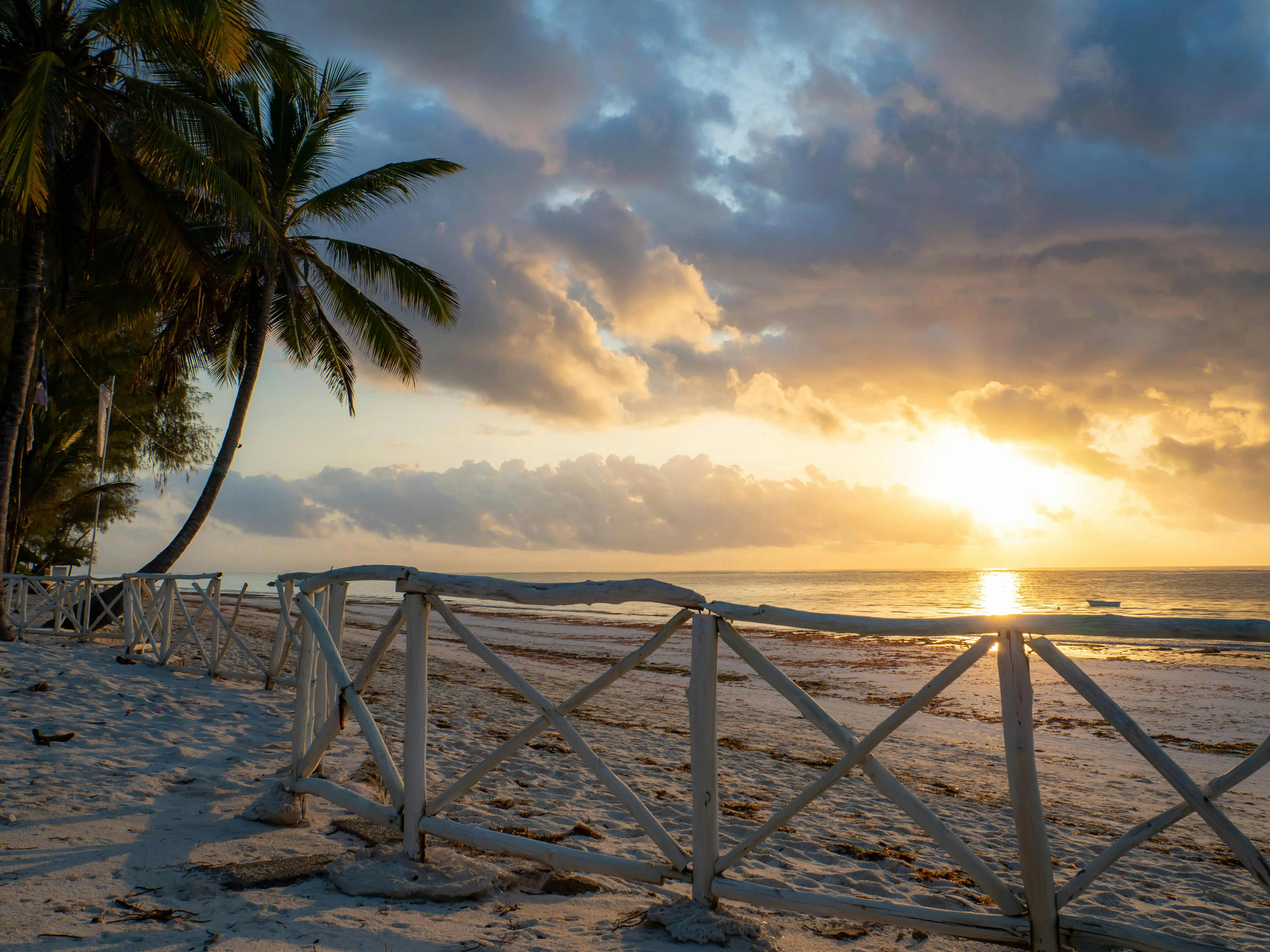 Sun setting behind palms on the shoreline.