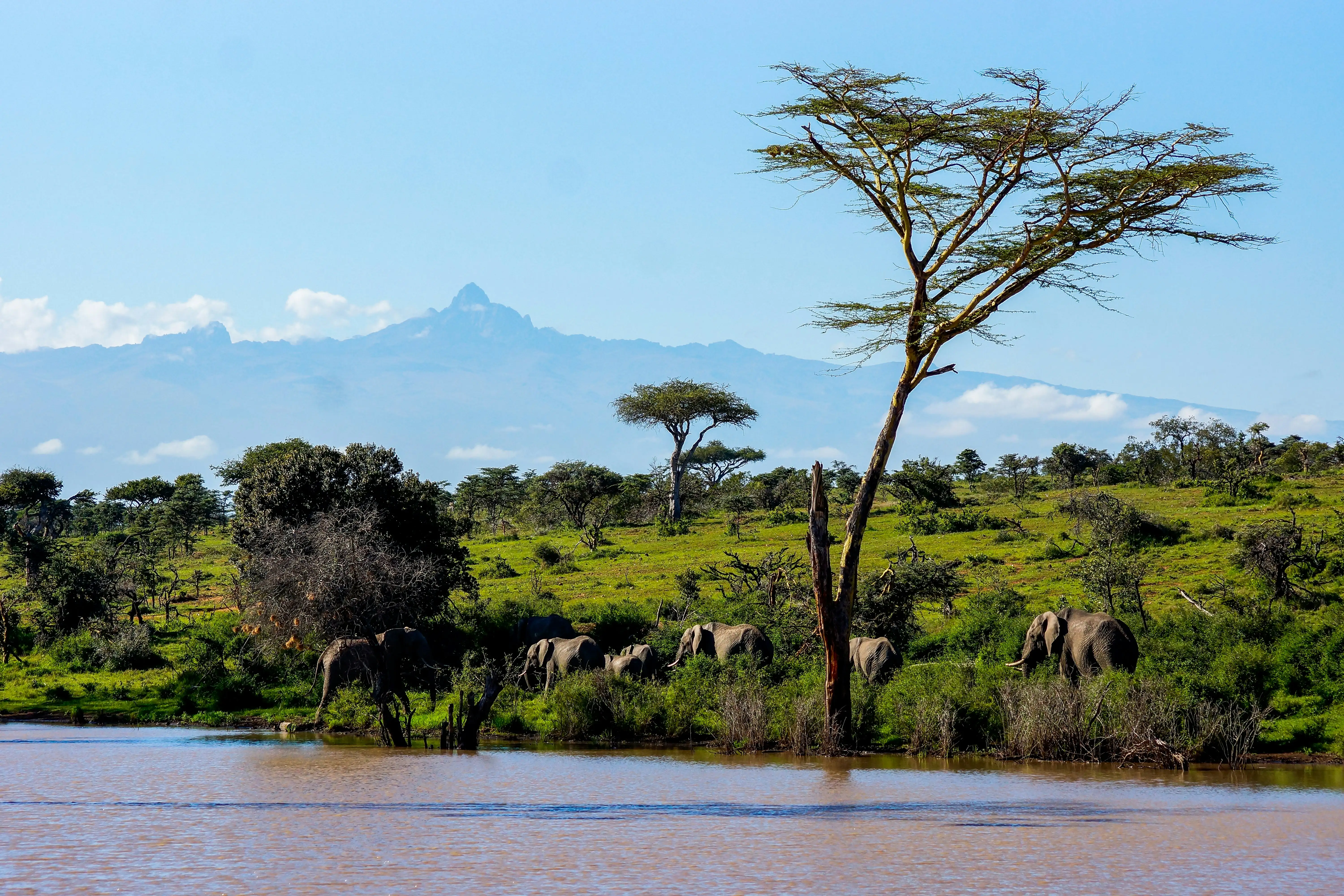 Highland woodland and water on the Laikipia plateau.