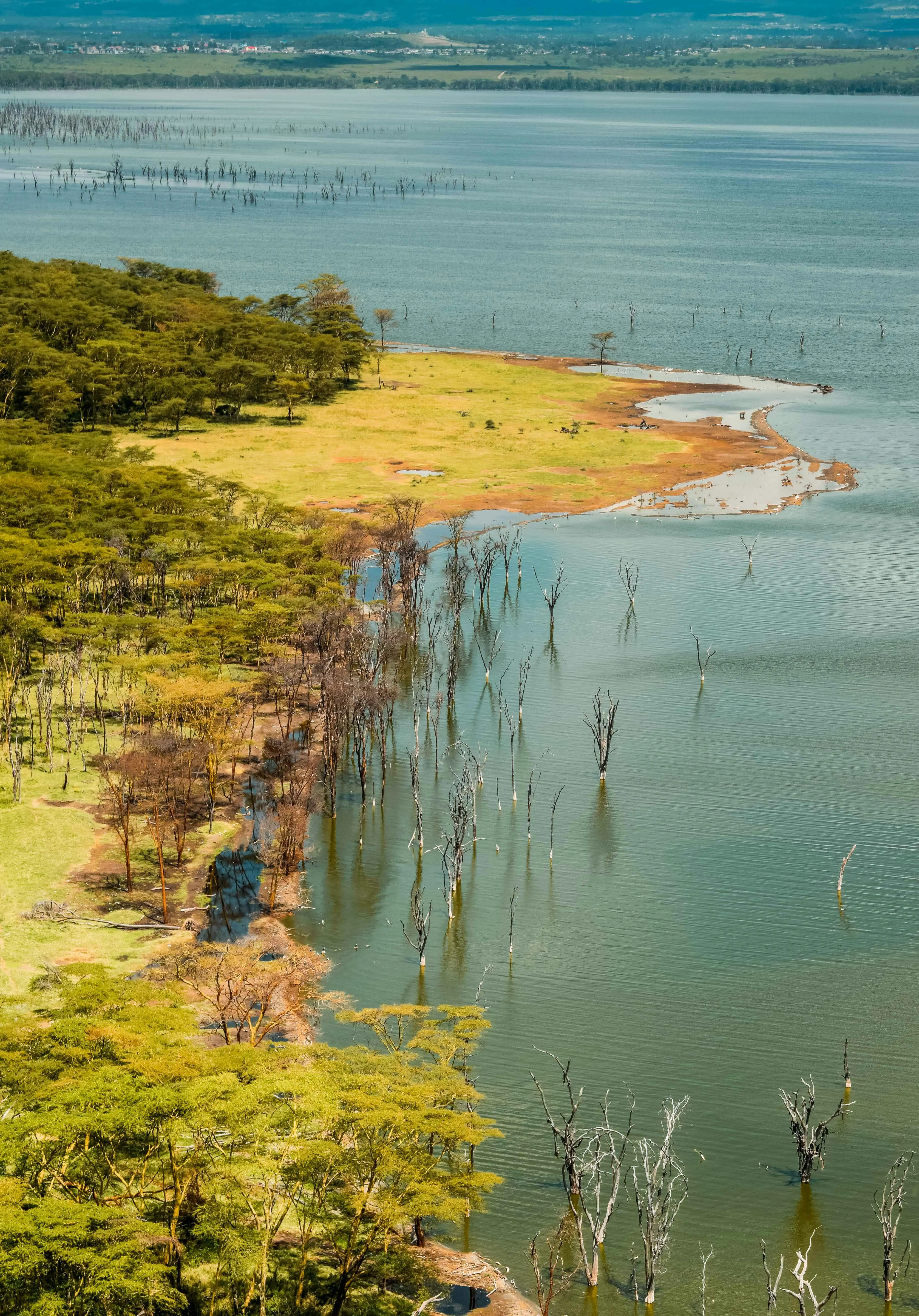 Aerial view of Lake Nakuru's shoreline and surrounding grassland.