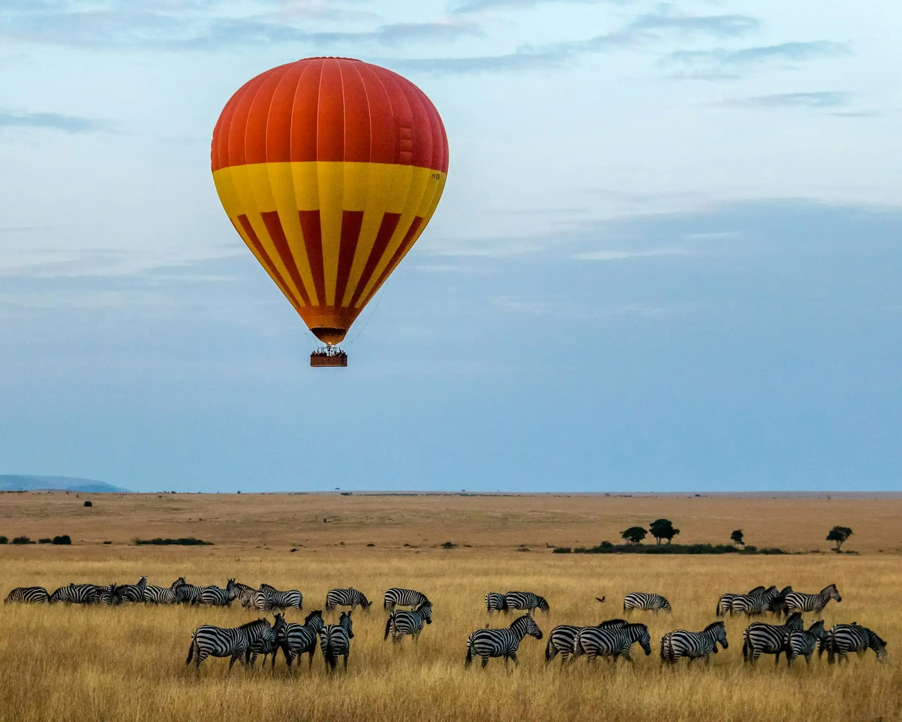 A hot-air balloon drifting over a herd of zebra on the open Maasai Mara plains at dawn.